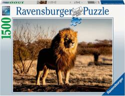Ravensburger Oroszlán az állatok királya 1500 db-os (17107)