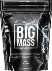 Pure Gold Protein Big Mass Gainer (3000 Gramm) Chocolate Hazelnut