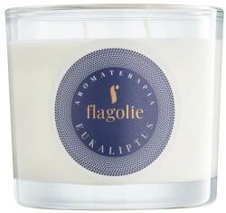Flagolie Lumânare parfumată Eucalipt - Flagolie Fragranced Candle Eucalyptus 170 g