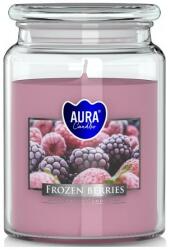 BISPOL Lumânare aromată Frozen Berries - Bispol Aura Frozen Berries Candles 500 g