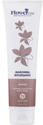 FlowerTint Mască pentru nuanțarea culorii părului - FlowerTint The Reflective Mask 150 ml