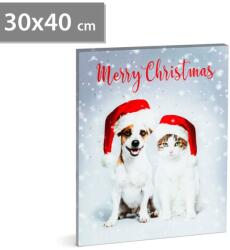 Family Pound Tablou de Crăciun cu LED - 40 x 30 cm (58452)