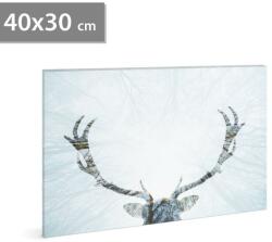 Family Pound Tablou decorativ LED, cu ren - 40 x 30 cm (58481A)