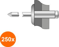 Bralo Set 250 x Pop-nituri Cap Lat Aluminiu / Aluminiu-4.8 X 10 (COR-250xBR.1180004810S)