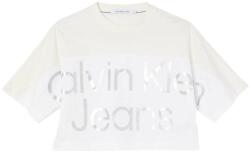 Calvin Klein Top Shiny Institutional Crop Tee J20J220273 YAF White (J20J220273 YAF White)
