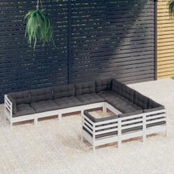 vidaXL Set mobilier grădină cu perne, 10 piese, alb, lemn de pin (3096996) - comfy