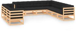 vidaXL Set mobilier de grădină perne antracit 10 piese lemn masiv pin (3083857)
