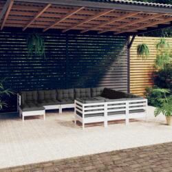 vidaXL Set mobilier grădină cu perne, 11 piese, alb, lemn de pin (3097044) - comfy