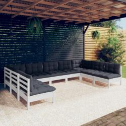 vidaXL Set mobilier grădină cu perne, 9 piese, alb, lemn masiv pin (3097176) - comfy