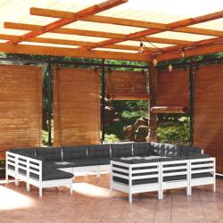 vidaXL Set mobilier de grădină cu perne, 13 piese, alb, lemn de pin (3097284)