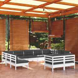 vidaXL Set mobilier grădină cu perne, 11 piese, alb, lemn masiv de pin (3097260)