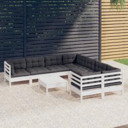 vidaXL Set mobilier de grădină cu perne, 9 piese, alb, lemn de pin (3096978)