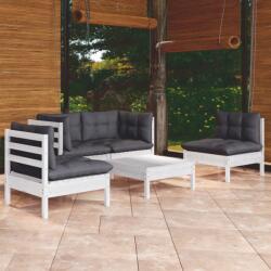 vidaXL Set mobilier de grădină cu perne, 5 piese, lemn masiv de pin (3096179) - comfy