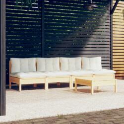 vidaXL Set mobilier grădină cu perne crem, 5 piese, lemn de pin (3096130) - comfy