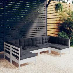 vidaXL Set mobilier grădină cu perne, 6 piese, alb, lemn masiv de pin (3097152)