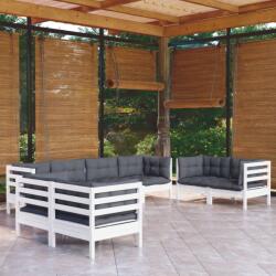 vidaXL Set mobilier de grădină cu perne, 8 piese, lemn masiv pin (3096269)