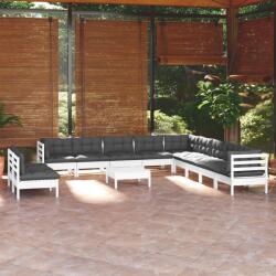 vidaXL Set mobilier grădină cu perne, 12 piese, alb, lemn masiv pin (3096858) - comfy