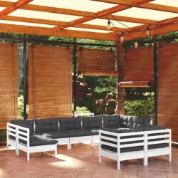 vidaXL Set mobilier de grădină cu perne, 9 piese, alb, lemn masiv pin (3097248)