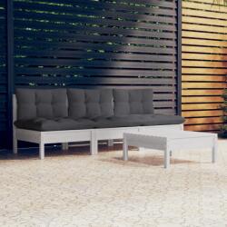 vidaXL Set mobilier grădină cu perne antracit, 4 piese, lemn de pin (3096083) - comfy
