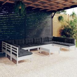 vidaXL Set mobilier de grădină cu perne, 11 piese, alb lemn masiv pin (3097194) - comfy