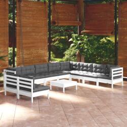 vidaXL Set mobilier grădină cu perne, 11 piese, alb, lemn masiv pin (3096846)
