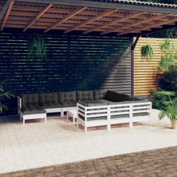vidaXL Set mobilier grădină cu perne, 12 piese, alb, lemn de pin (3097050) - comfy