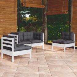vidaXL Set mobilier de grădină cu perne, 4 piese, lemn masiv de pin (3096173) - comfy