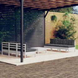vidaXL Set mobilier de grădină cu perne, 7 piese, antracit, lemn pin (3096095)