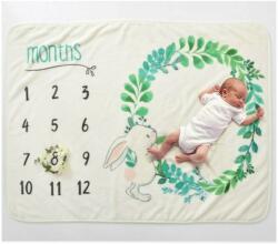 drool Paturica Milestone plusata pentru fotografii memorabile Iepuras Drool (1iep3) - babyneeds Lenjerii de pat bebelusi‎, patura bebelusi