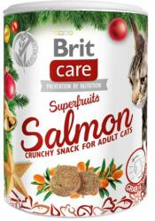 BRIT BRIT Care Cat Christmas Superfruits 100g