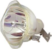 InFocus SP-LAMP-026 lampă compatibilă fără modul (SP-LAMP-026)