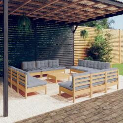 vidaXL Set mobilier de grădină cu perne, 13 piese, gri, lemn masiv pin (3096051) - comfy
