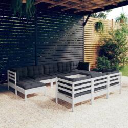 vidaXL Set mobilier de grădină cu perne, 10 piese, alb lemn masiv pin (3097140) - comfy