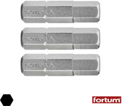 Fortum 4741506 HEX5x25 mm bit (1/4") 3 db-os (4741506)