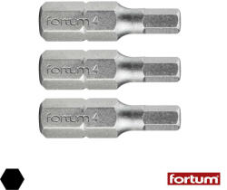 Fortum 4741505 HEX4x25 mm bit (1/4") 3 db-os (4741505)
