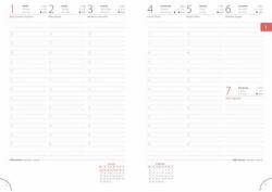 Dayliner "Colors Astro Cat" calendar săptămânal planificator săptămânal (DL4AG-COFA5HE-AC)