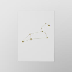 Csillagjegyek - Oroszlán (kedves_csillag_oroszlan)