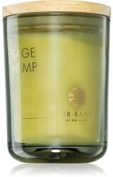DW HOME UR. BANE Sage & Hemp lumânare parfumată 215 g
