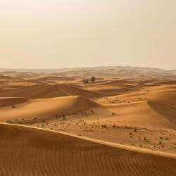 Rasch Magic Walls-Landscape végtelen sivatag poszter 862430
