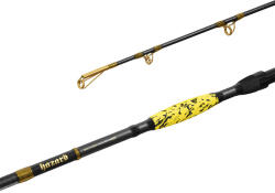 Delphin HAZARD BxG 255cm/505g/2 rész (101003115) - afishing