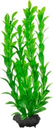 Tetra Decoart Plant S Hygrophila