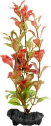 Tetra Decoart Plant S Red Ludwigia
