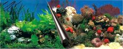 EBI stone&coral akvárium háttér, 60x30cm (59108833)