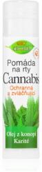Bione Cosmetics Cannabis alifie de buze 5 ml