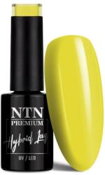 NTN Premium Premium géllakk 143