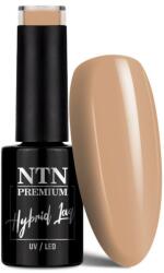 NTN Premium Premium géllakk 062