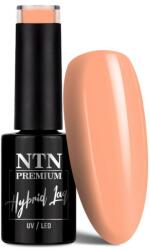 NTN Premium Premium géllakk 059