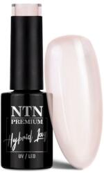 NTN Premium Premium géllakk 261