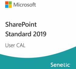 Microsoft SharePoint Standard 2019 User CAL (DG7GMGF0F4LS-0002) (DG7GMGF0F4LS-0002)