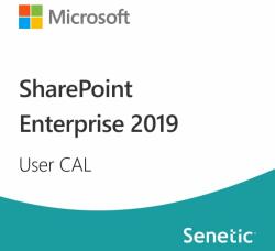 Microsoft SharePoint Enterprise 2019 User CAL (DG7GMGF0F4LV-0002) (DG7GMGF0F4LV-0002)